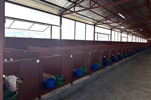 На МТК «Сенно» и «Голынь» введены в эксплуатацию профилактории для содержания молодняка